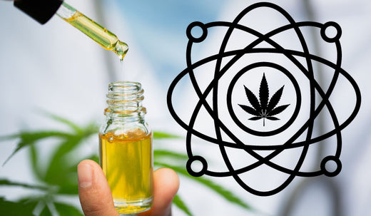What Is The Entourage Effect? CBD Benefits Explained