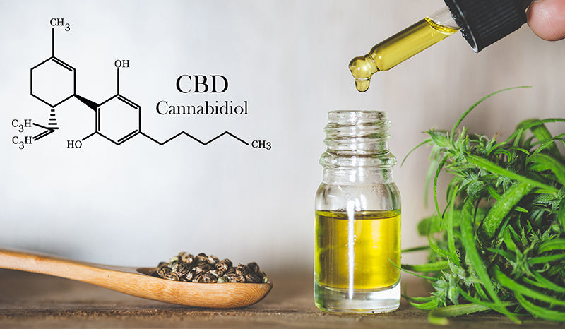 How long does CBD stay in your system