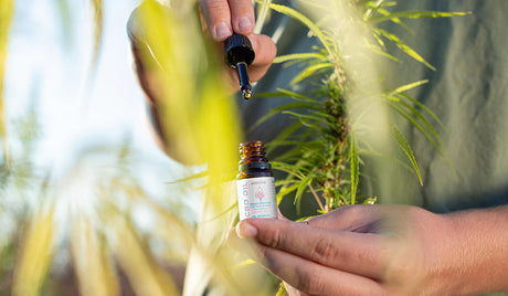 What does it feel like to take CBD