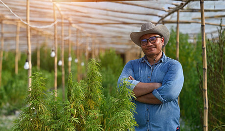 What are cannabinoids and how do they work