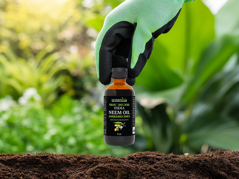 GreenIVe neem oil being used in a garden