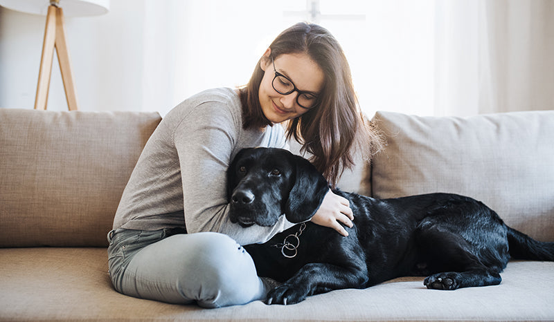 Can Humans Take Pet CBD Oil? Pet CBD vs Human CBD
